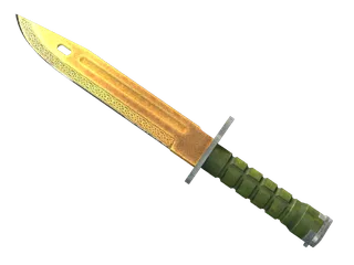 ★ Bayonet | Lore