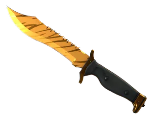 ★ Bowie Knife | Tiger Tooth