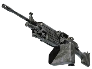 M249 | Midnight Palm