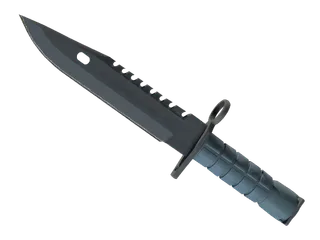 ★ M9 Bayonet | Night