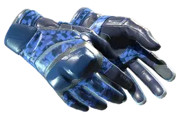 ★ Moto Gloves | Polygon