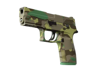 P250 | Boreal Forest