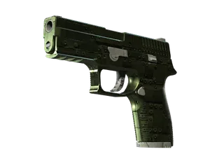 P250 | Iron Clad