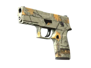 P250 | Modern Hunter