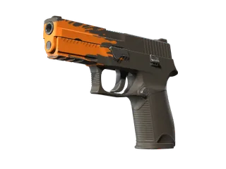 P250 | Splash