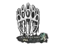 Sealed Graffiti | BIG | Antwerp 2022