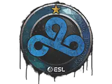 Sealed Graffiti | Cloud9 | Katowice 2019