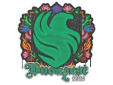 Sealed Graffiti | Falcons | Budapest 2025