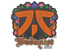 Sealed Graffiti | fnatic | Budapest 2025