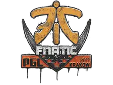 Sealed Graffiti | Fnatic | Krakow 2017