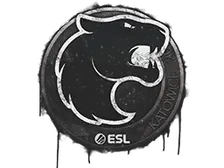 Sealed Graffiti | FURIA | Katowice 2019