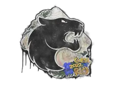 Sealed Graffiti | FURIA | Rio 2022