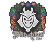 Sealed Graffiti | G2 esports | Budapest 2025