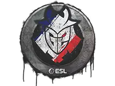 Sealed Graffiti | G2 Esports | Katowice 2019