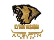 Sealed Graffiti | Lynn Vision | Austin 2025