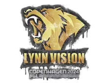 Sealed Graffiti | Lynn Vision | Copenhagen 2024