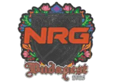 Sealed Graffiti | NRG | Budapest 2025