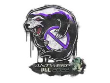 Sealed Graffiti | Outsiders | Antwerp 2022