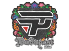 Sealed Graffiti | paiN Gaming | Budapest 2025