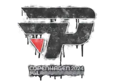 Sealed Graffiti | paiN Gaming | Copenhagen 2024