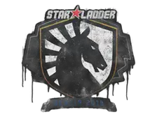 Sealed Graffiti | Team Liquid | Berlin 2019