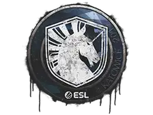 Sealed Graffiti | Team Liquid | Katowice 2019