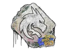 Sealed Graffiti | Team Spirit | Rio 2022