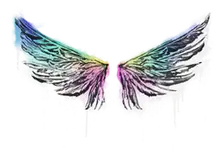 Sealed Graffiti | Wings