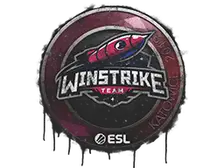 Sealed Graffiti | Winstrike Team | Katowice 2019