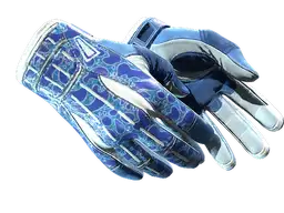 ★ Sport Gloves | Amphibious