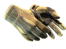 ★ Sport Gloves | Arid