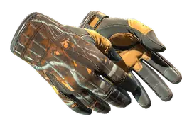 ★ Sport Gloves | Big Game