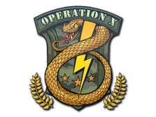 Sticker | Badge of Service