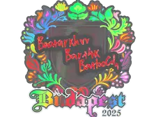 Sticker | Bart4k (Holo) | Budapest 2025