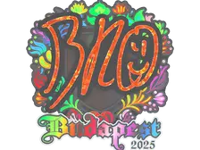 Sticker | br0 (Holo) | Budapest 2025
