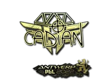 Sticker | cadiaN (Gold) | Antwerp 2022