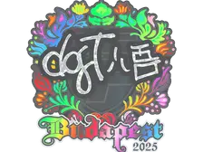 Sticker | dgt (Holo) | Budapest 2025