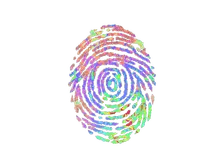 Sticker | Evidence (Holo)