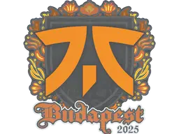 Sticker | fnatic | Budapest 2025
