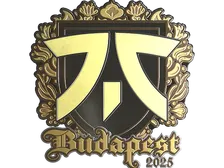 Sticker | fnatic (Gold) | Budapest 2025