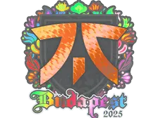 Sticker | fnatic (Holo) | Budapest 2025