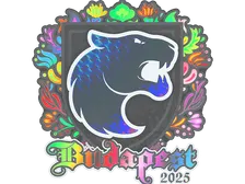 Sticker | FURIA (Holo) | Budapest 2025