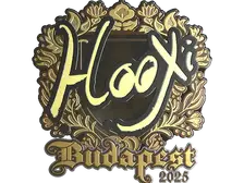 Sticker | HooXi (Gold) | Budapest 2025