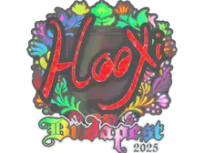 Sticker | HooXi (Holo) | Budapest 2025