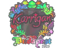 Sticker | karrigan (Holo) | Budapest 2025