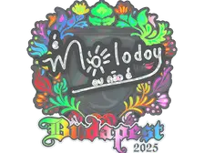 Sticker | molodoy (Holo) | Budapest 2025