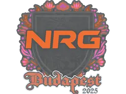 Sticker | NRG | Budapest 2025