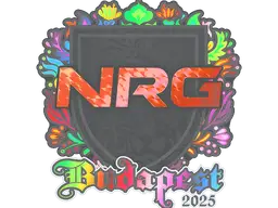 Sticker | NRG (Holo) | Budapest 2025