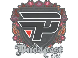 Sticker | paiN Gaming | Budapest 2025