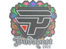 Sticker | paiN Gaming (Embroidered) | Budapest 2025